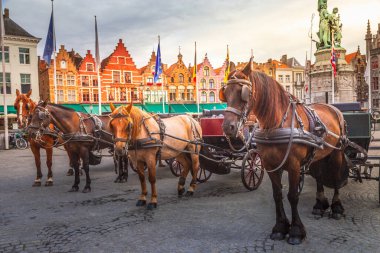 Bruges market square with flemish architecture and horses, Belgium