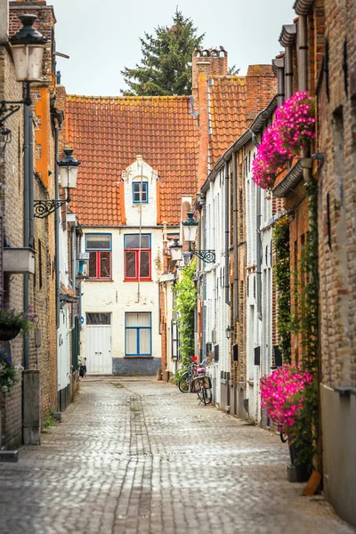 Street Corner Beautiful Bruges Flowers Flemish Architecture Belgium — Fotografia de Stock