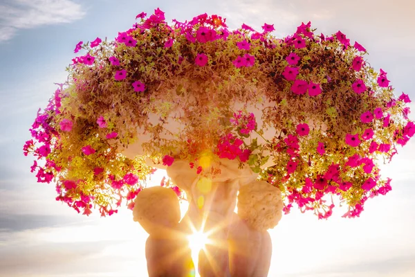 Sunrays Cherubins Violet Flowers Vase Pot Paris France — Fotografia de Stock