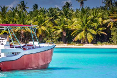Tropical paradise: idyllic caribbean beach with single palm tree, Punta Cana, Dominican Republic