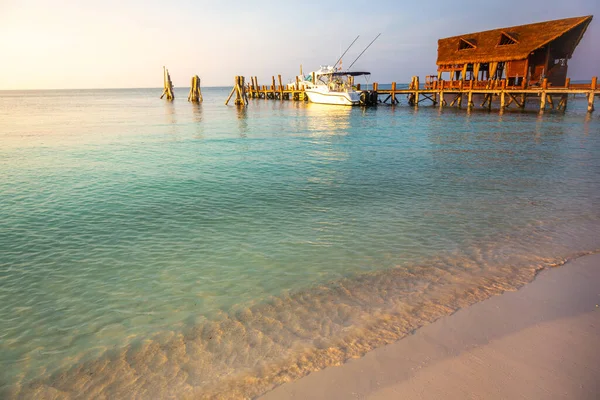 Tropical Paradise Cancun Idyllic Caribbean Beach Rustic Palapa Pier Riviera —  Fotos de Stock