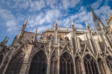 Paris 'in Notre Dame sütunları ve kemerleri, yan manzara detayları, Fransa