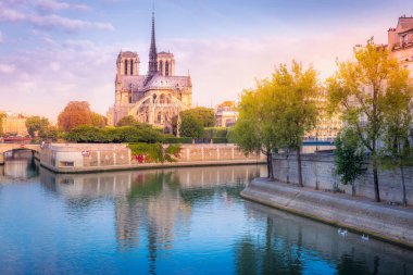 Paris 'in Notre Dame' ı Seine Nehri yansıması ve güneş doğarken kuğular, Fransa