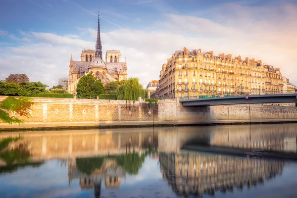 Notre Dame Paris Seine River Back View Peaceful Sunrise France — 스톡 사진