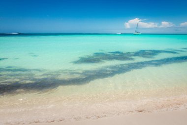 Tropical paradise: idyllic caribbean beach with sailboat, Punta Cana, Dominican Republic