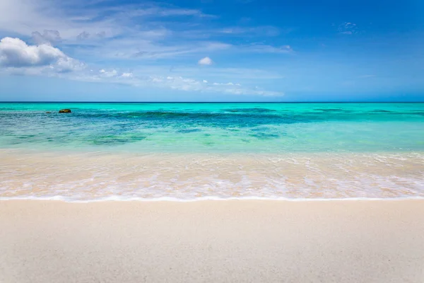Idyllic Translucent Caribbean Beach Sunny Day Aruba Dutch Antilles — Stok fotoğraf