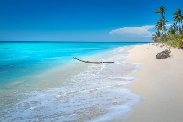 Tropical Paradise Idyllic Caribbean Beach Palm Trees Punta Cana Dominican — Fotografia de Stock