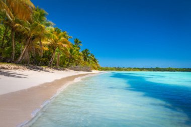 Tropical paradise: idyllic caribbean beach with palm trees, Punta Cana, Dominican Republic