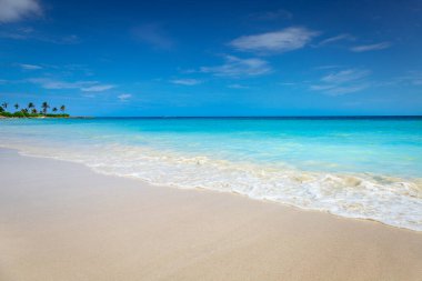 Tropical paradise: idyllic caribbean beach with single palm tree, Montego Bay, Jamaica clipart