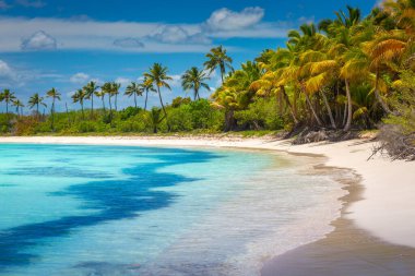 Tropical paradise: idyllic caribbean beach with palm trees, Punta Cana, Dominican Republic