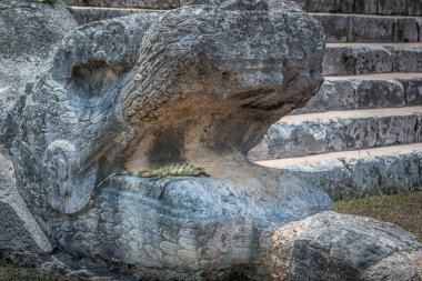 Chichen Itza kukulcan snake with lizard reptile in the open mouth, Ancient Mayan civilization, Mexico