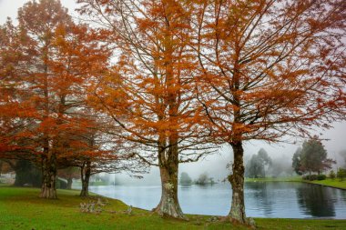 Autumn landscape with trees and lake in Gramado, rio Grande do Sul, Southern Brazil