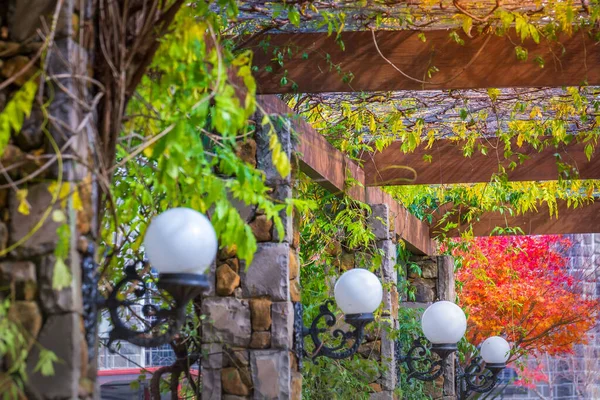 Autumn Landscape Red Tree Gramado Covered Street Lamps Pattern Rio — Fotografia de Stock