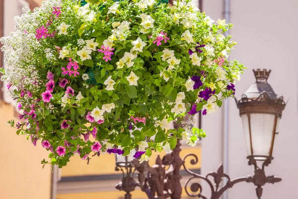 Colmar Street Light Ornate Flowers Sunny Springtime Eastern France — Fotografia de Stock