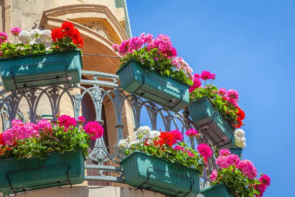 Riquewihr Beautiful Alsatian Architecture Springtime Flowers Eastern France — Fotografia de Stock