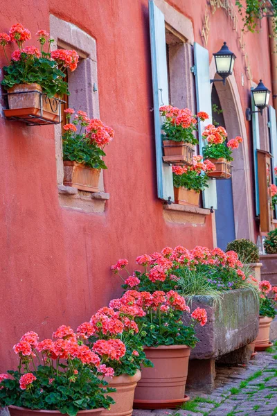 Riquewihr Beautiful Alsatian Architecture Springtime Flowers Eastern France — Fotografia de Stock