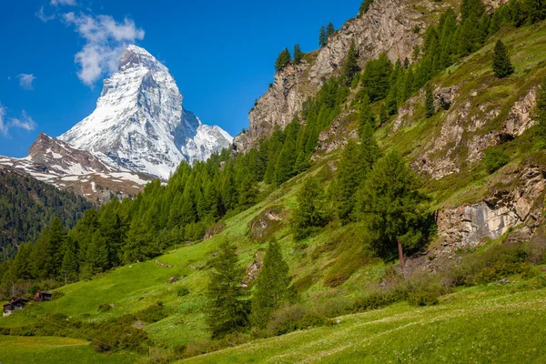 Idyllic Swiss Landscape Matterhorn Zermatt Meadows Valais Switzerland — Stockfoto