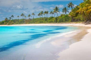 Tropical paradise: idyllic caribbean beach with palm trees, Punta Cana, Dominican Republic