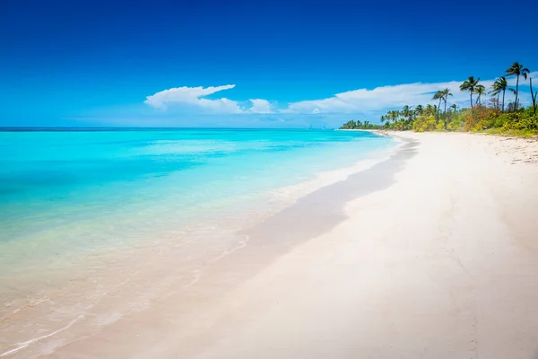 Tropical Paradise Idyllic Caribbean Beach Palm Trees Punta Cana Dominican — Foto de Stock