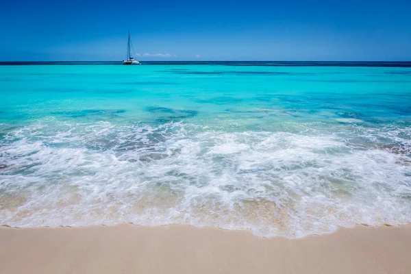 Tropical Paradise Idyllic Caribbean Beach Sailboat Punta Cana Dominican Republic — Fotografia de Stock