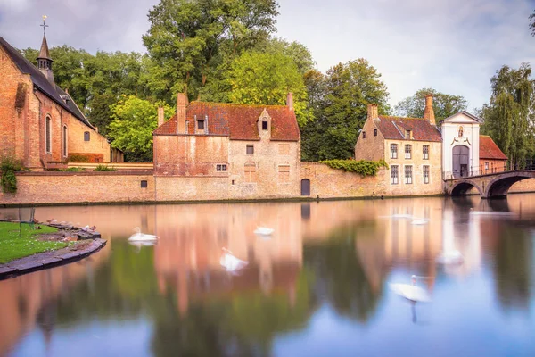 Blurred Delicate Swans Floating Brugge Canal Reflection Belgium — стокове фото