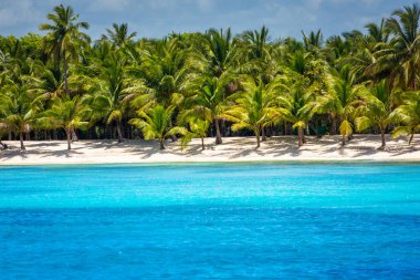 Tropical paradise: idyllic caribbean beach with palm trees, Punta Cana, Dominican Republic