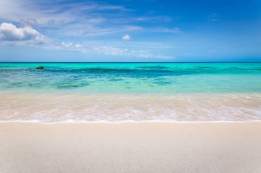 Idyllic and translucent caribbean beach at sunny day in Aruba, Dutch Antilles