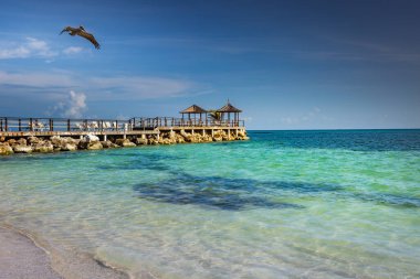 Pelican flying over idyllic caribbean beach with pier and gazebo, Montego Bay, Jamaica