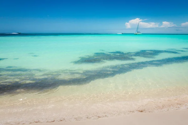 Tropical Paradise Idyllic Caribbean Beach Sailboat Punta Cana Dominican Republic — Stock Photo, Image
