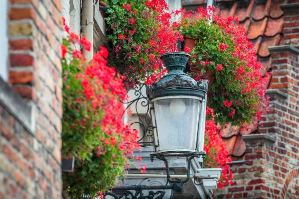 Street Light Lamp Balcony Red Flowers Beautiful Bruges Flemish Architecture — Fotografia de Stock