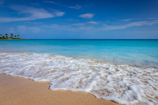 Tropical Paradise Idyllic Caribbean Beach Palm Trees Montego Bay Jamaica — Stockfoto