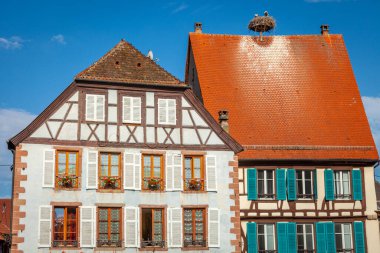 Stork nest in Colmar beautiful alsatian architecture at springtime, Eastern France