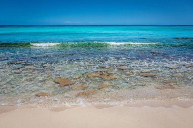 Tropical paradise: idyllic caribbean beach, Punta Cana, Dominican Republic