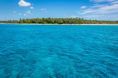 Tropical paradise: idyllic caribbean beach with palm trees, Punta Cana, Dominican Republic