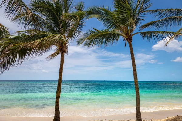 Tropical paradise: idyllic caribbean beach with palm trees, Montego Bay, Jamaica