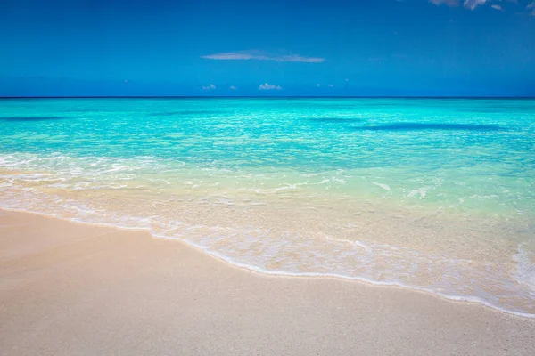 Тропический Рай Идиллический Карибский Пляж Пунта Кана Доминиканская Республика — стоковое фото