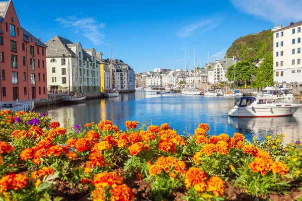 Alesund Sea port harbor with springtime flowers at peaceful dawn, Norway, Scandinavia