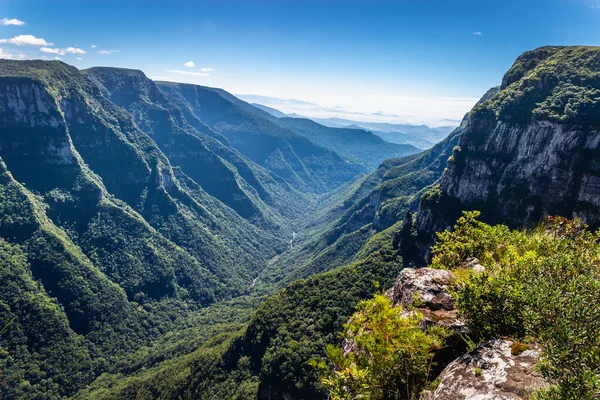 Canyon in idyllic rainforest Landscape - Rio Grande do Sul state, southern Brazil