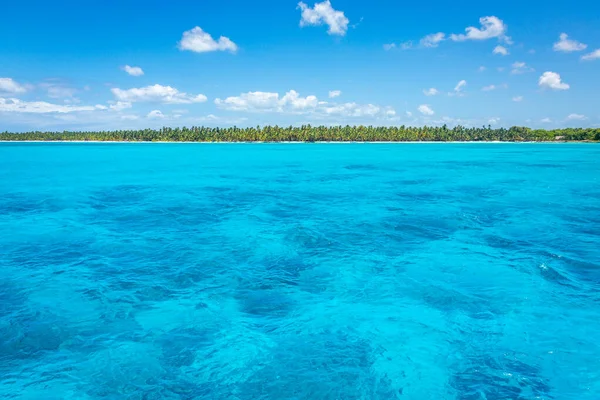 Tropical paradise: idyllic caribbean beach with palm trees, Punta Cana, Dominican Republic