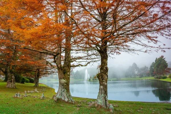 Autumn landscape with trees and lake in Gramado, rio Grande do Sul, Southern Brazil