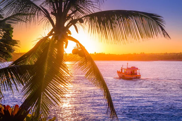 Idyllic Porto Seguro Beach Sunset Boat Palm Trees Trancoso Bahia — ストック写真