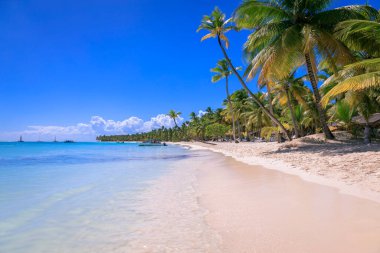 Tropical paradise, idyllic caribbean beach with sailboats, Punta Cana, Dominican Republic