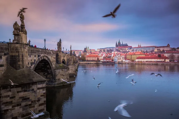 Charles Bridge Dramatic Evening Doves Prague Old Town Czech Republic — стоковое фото