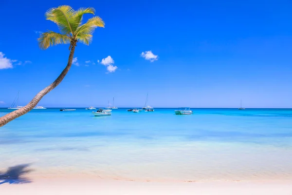 Tropical Paradise Idyllic Caribbean Beach Sailboats Punta Cana Dominican Republic — Stock fotografie