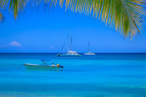 Tropical Paradise Idyllic Caribbean Beach Sailboats Punta Cana Dominican Republic — Foto Stock