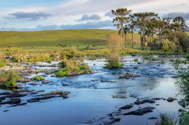 Southern Brazil, Sao Jose dos Ausentes countryside and river landscape at peaceful golden sunset, long exposure