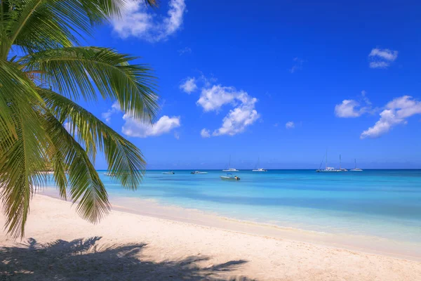 Tropiskt Paradis Idyllisk Karibisk Strand Med Segelbåtar Och Båtar Punta — Stockfoto