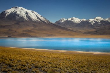 Turkuaz laguna Miscanti, Atacama çölünde tuz gölü, volkanik manzara, Şili, Güney Amerika
