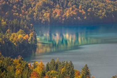 Görkemli Alpsee Gölü yukarıdan altın sonbaharda, Alman Alpleri, Bavyera, Almanya