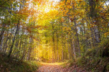 Karwendel dağları, Innsbruck yakınlarındaki Karwendel dağları, Tyrol, Avusturya
